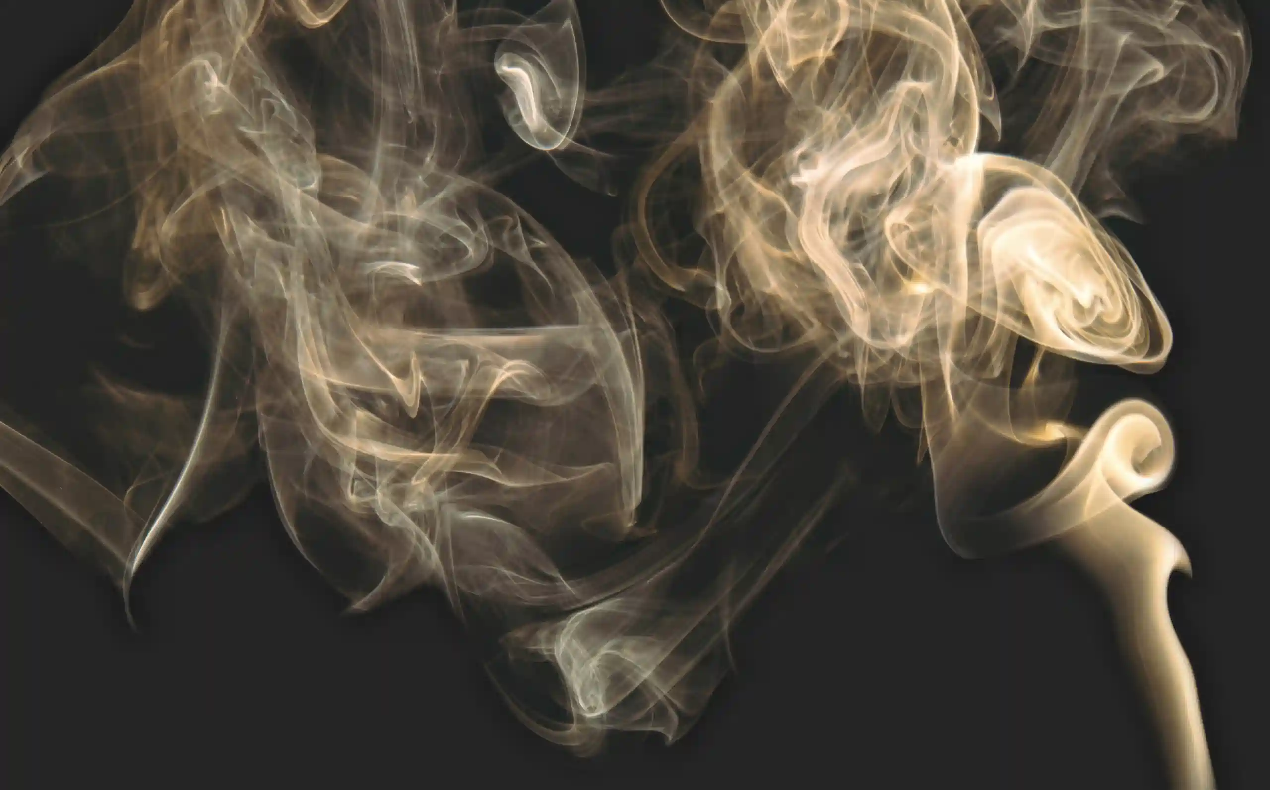 Smokin Home — Masters of Jazz